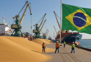 Safra 2024-25 recorde - 1 MatopibaFaz